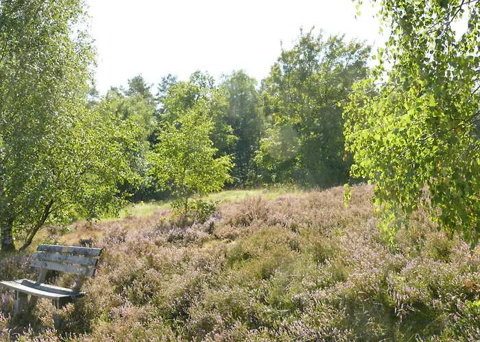 Schäferwagen auf'm Minibauernhof in Munster